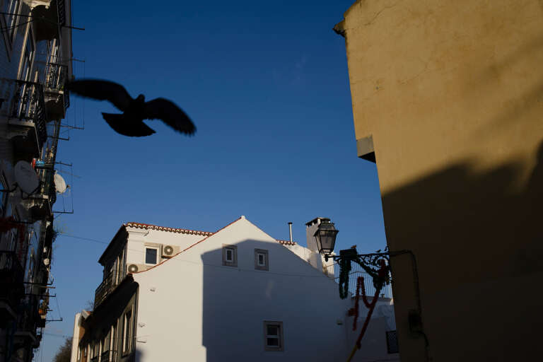 Estado Actual de los Procesos de Nacionalidad Portuguesa: Mayo 2025