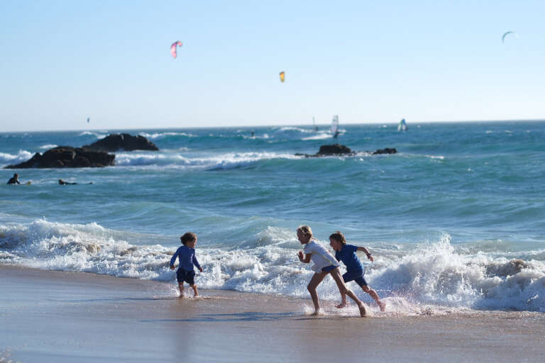 Los menores requieren vínculos